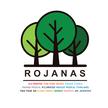 Digital Marketing Senior Supervisor