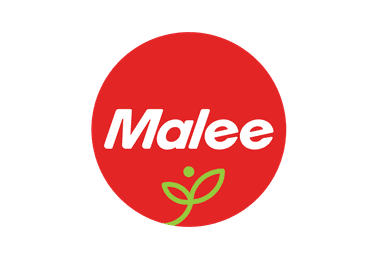 Senior Industrial Engineer