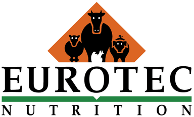 Office Manager (Office renovation expecrience)