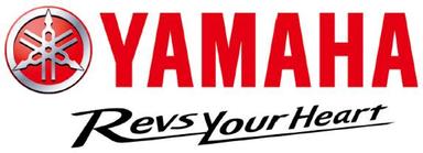 Import & Export Officer